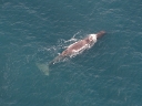 kaikoura (09)